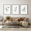 Botanical Poster - Botanical Wall Art - Eucalyptus Poster - Set of 3