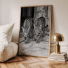 Leoparden Poster – Elegante Tierfotografie – Modernes Tiermotiv Poster
